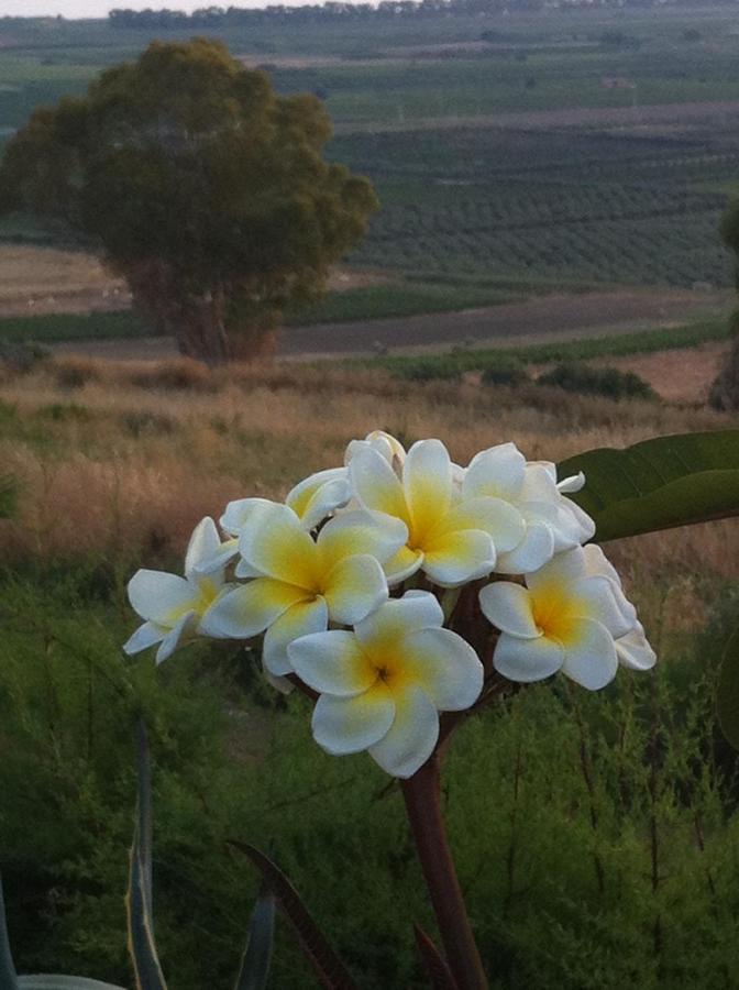 שאקה Casa Vacanze Surriano מראה חיצוני תמונה