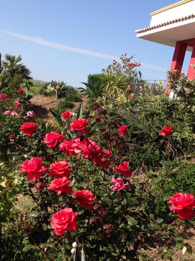 שאקה Casa Vacanze Surriano מראה חיצוני תמונה
