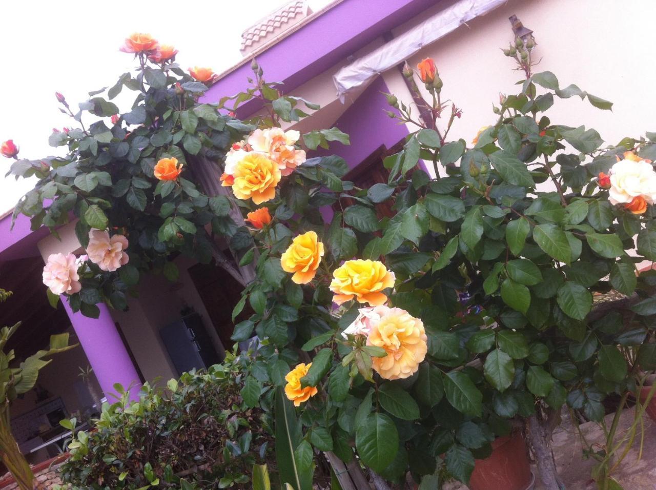 שאקה Casa Vacanze Surriano מראה חיצוני תמונה