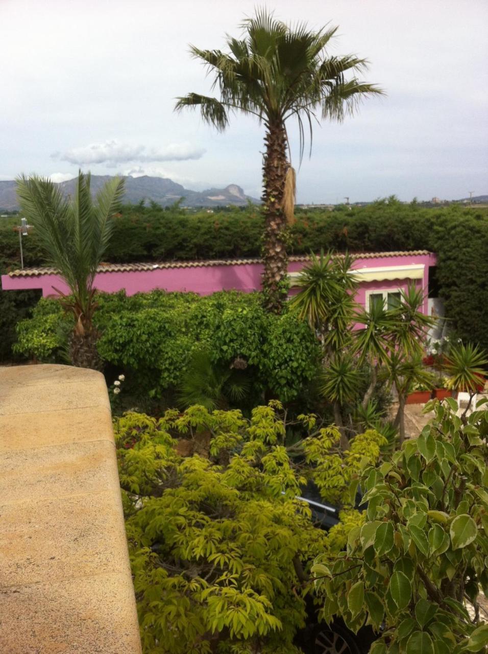 שאקה Casa Vacanze Surriano מראה חיצוני תמונה