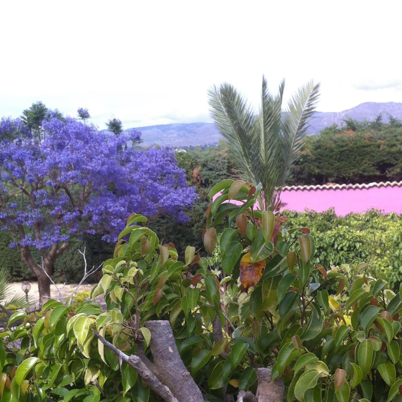 שאקה Casa Vacanze Surriano מראה חיצוני תמונה